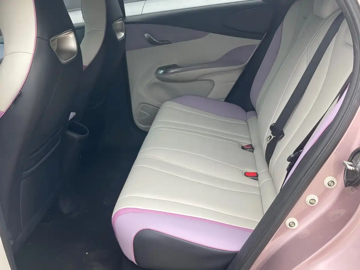 BYD Dolphin 2023 401km Knight Edition фото 4