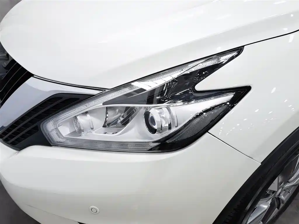 Nissan Murano 2017 2.5L XL 2WD Smart Premium Edition фото 7