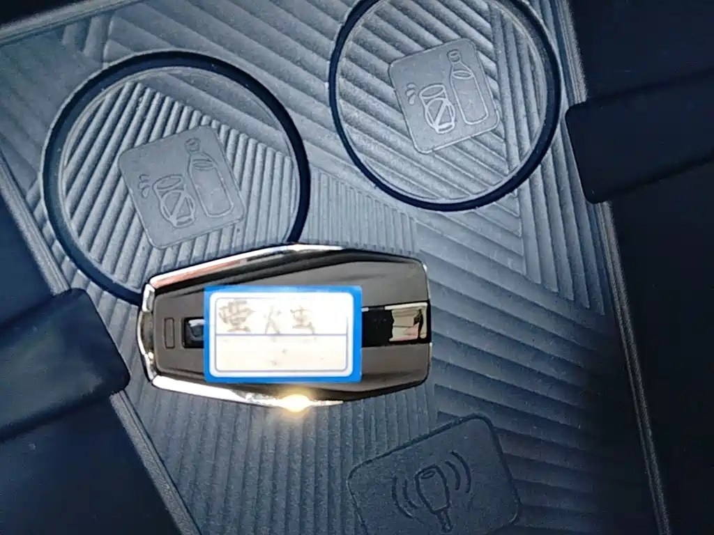 Geely Geometry E Firefly 2022 2022 401KM Delicate Tiger 4-seater