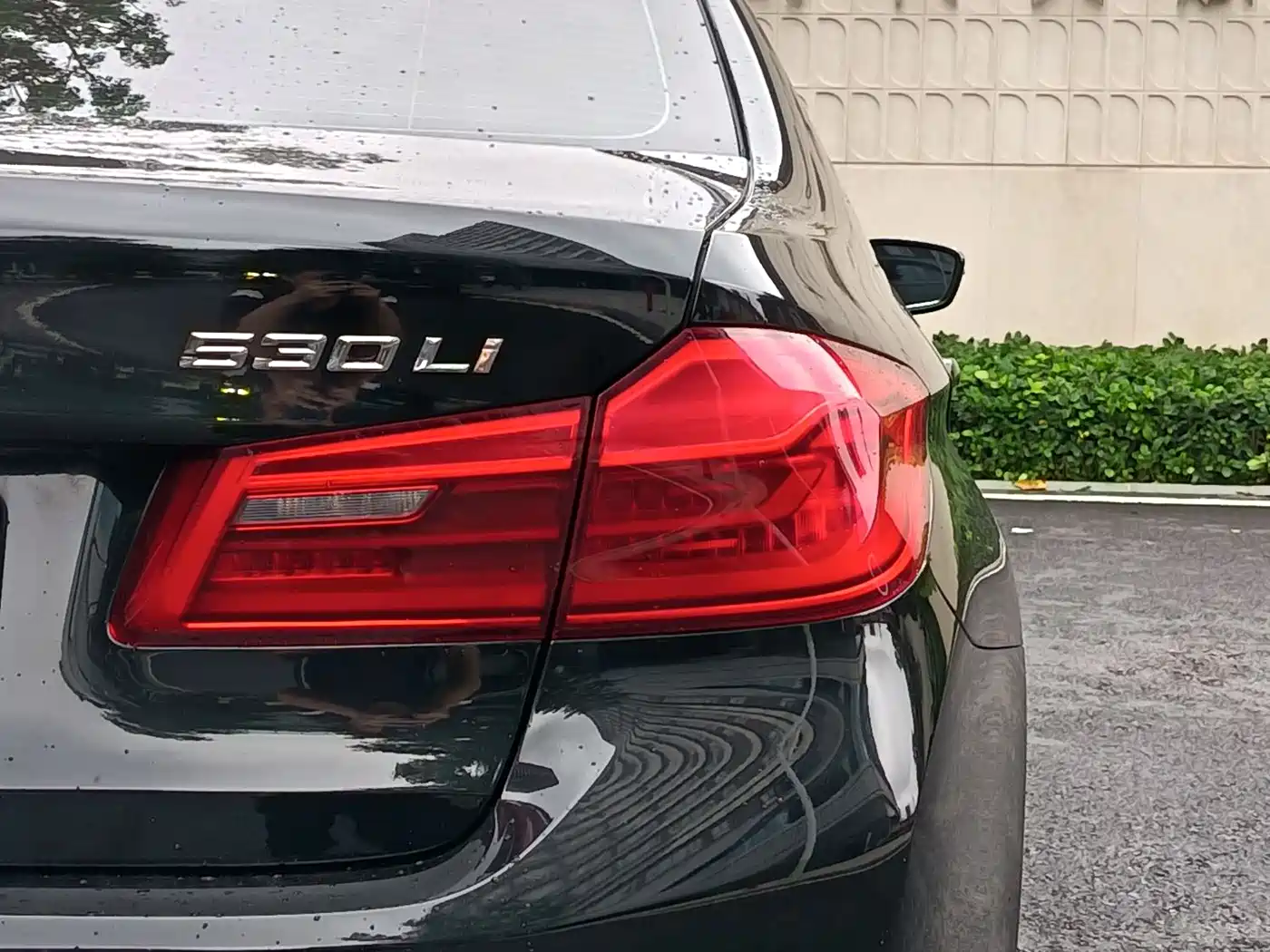 BMW 5 Series 2019 530Li Leading Luxury Package фото 22