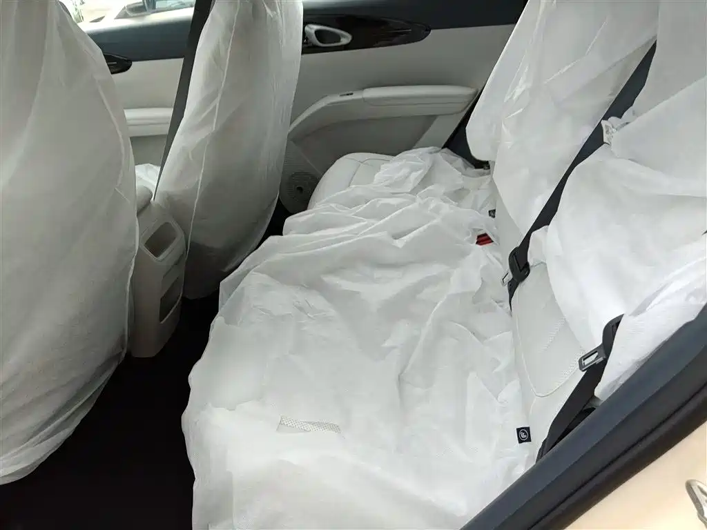 Geely Galaxy Starry Wish 2026 Edition 310km Youth Version фото 17