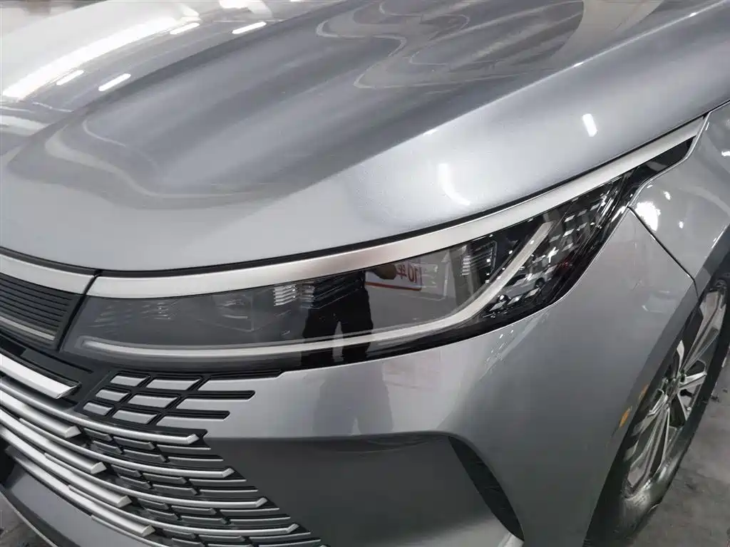 BYD Destroyer 05 2023 Champion Edition DM-i 55KM Premium фото 7