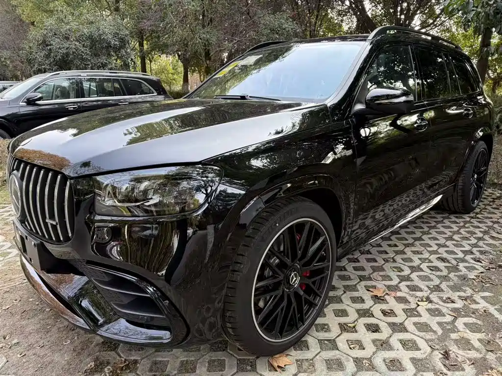 Mercedes-Benz GLS AMG 2024 AMG GLS 63 4MATIC+ фото 2