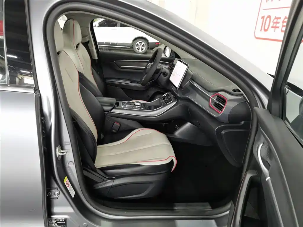 BYD Destroyer 05 2023 Champion Edition DM-i 55KM Premium фото 23