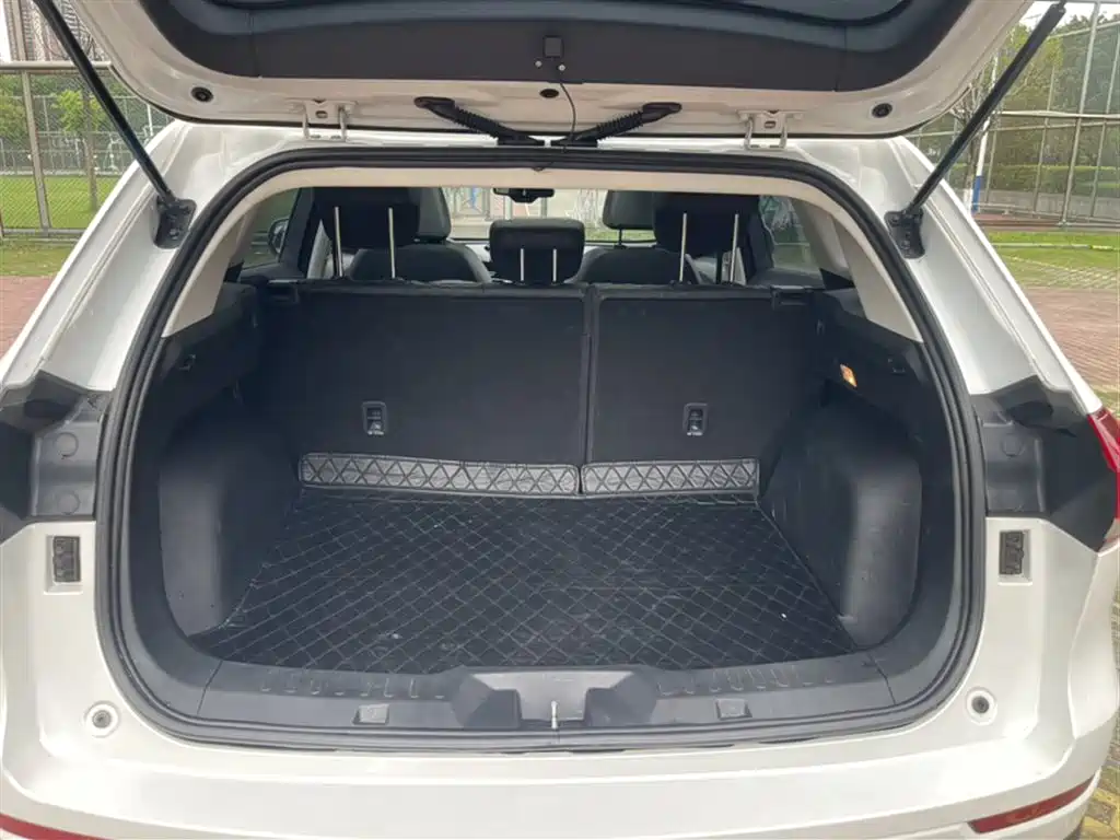 Haval H6 2021 1.5GDIT Automatic Champion Edition фото 9