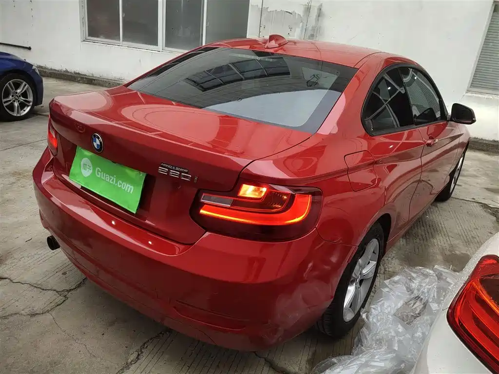 BMW 2 Series (Import) 2014 220i Leading фото 7