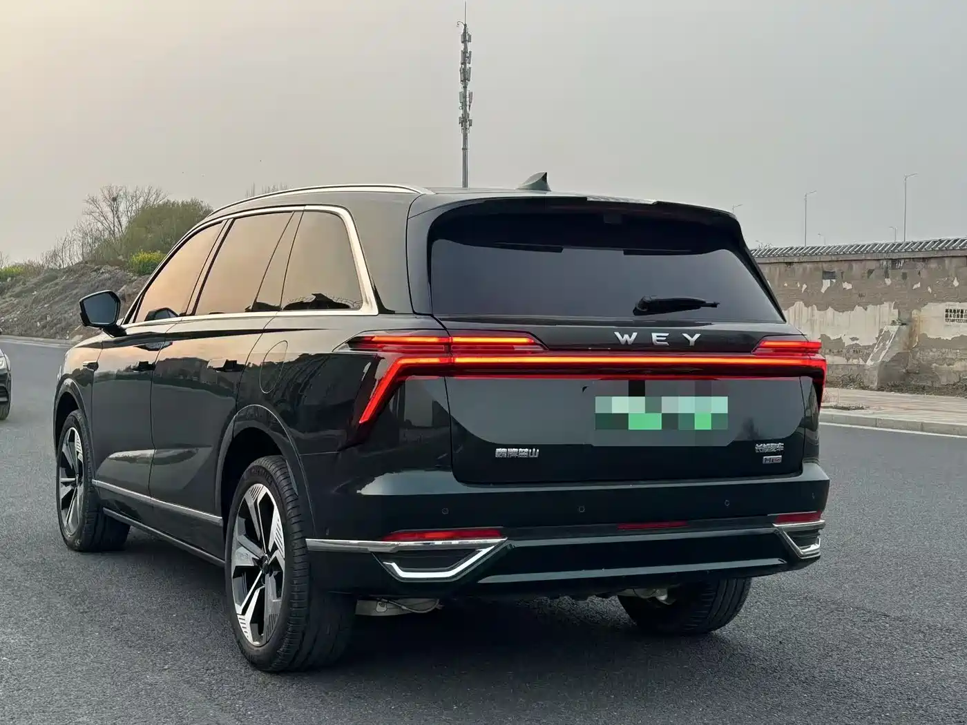 WEI PAI WEI BRAND BLUE MOUNTAIN