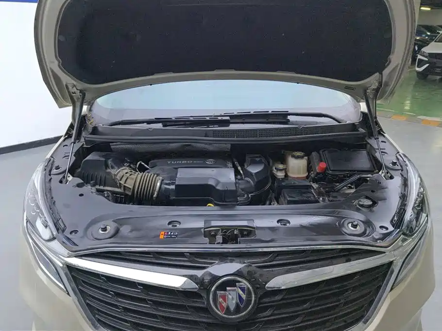 Buick GL8 2022 ES Landmark 653T Premium фото 10
