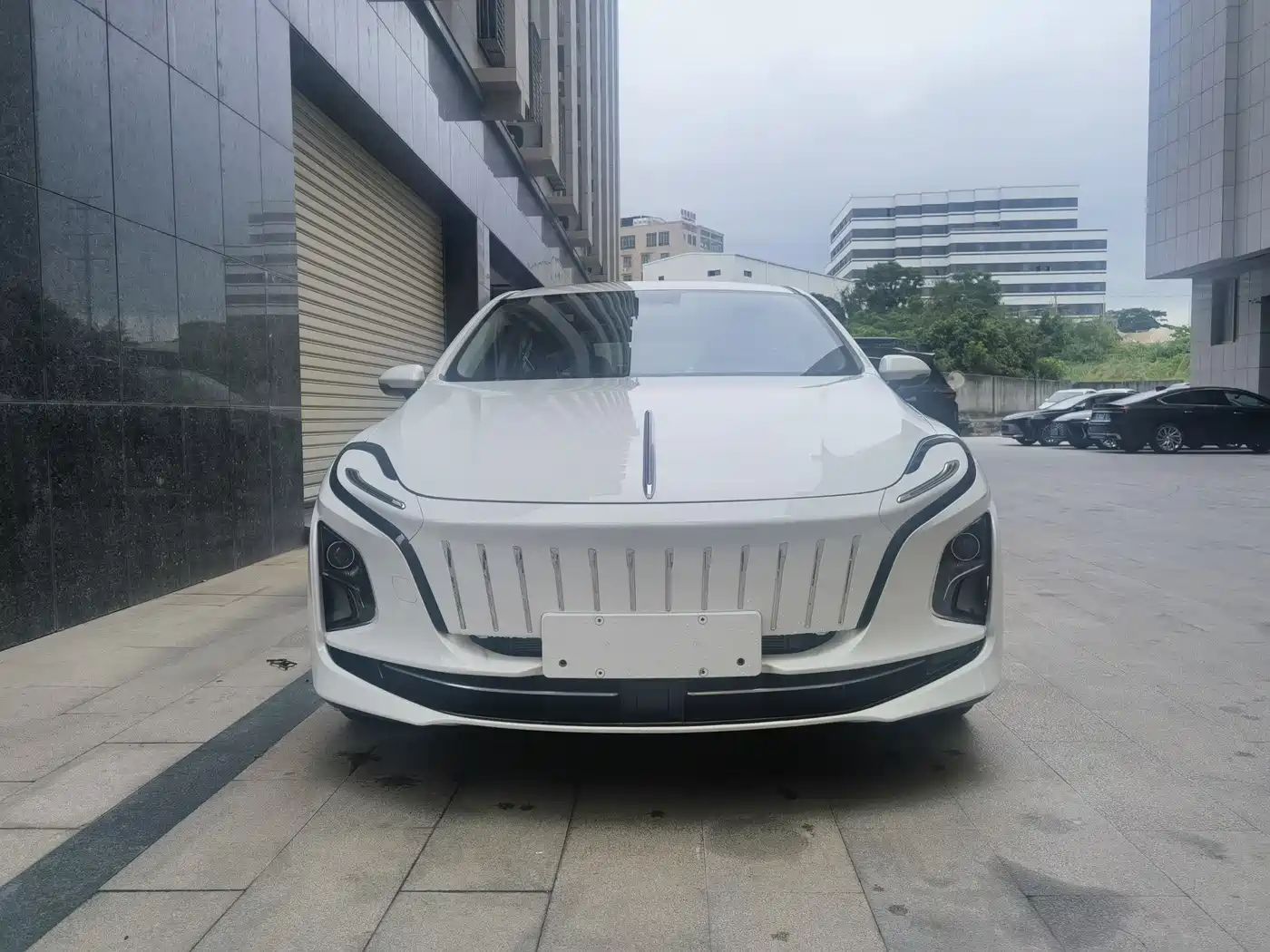 Hongqi E-QM5 2021 Ride-hailing Charging Basic Edition 4-seater фото 2