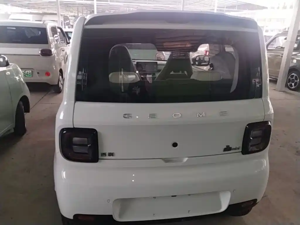 Geely Galaxy Panda 2026 2025 Panda mini 210km Vitality Bear