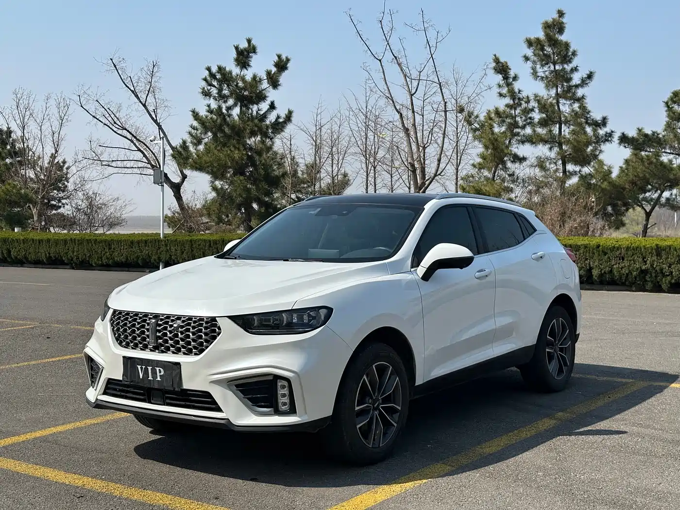 WEI PAI WEI BRAND VV5