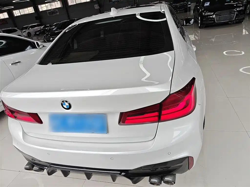BMW 5 Series 2020 530Li Leading M Sport Package фото 6