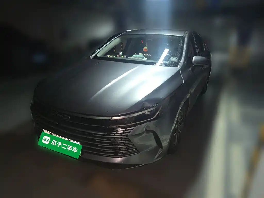 BYD Destroyer 05 2024 Glory Edition DM-i 55KM Luxury фото 2