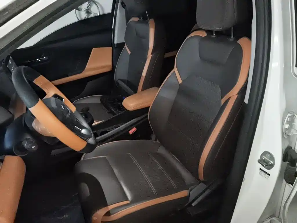 BYD e2 2021 2021 Luxury Edition