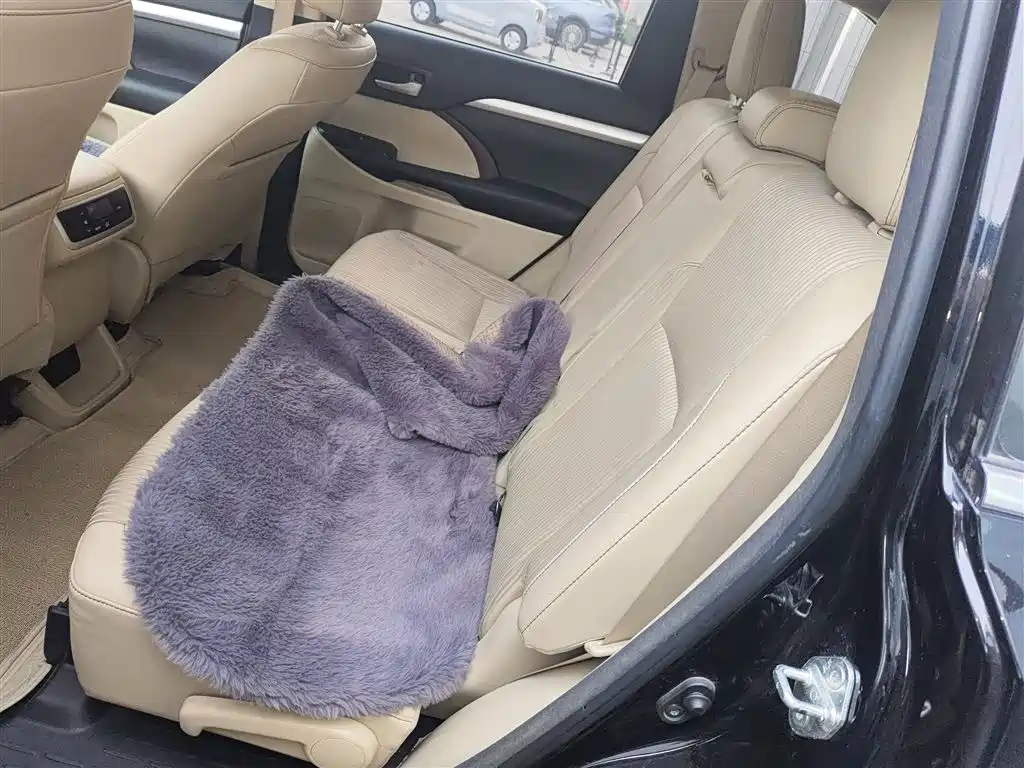 Toyota Highlander 2017 2.0T 2WD Elite 5-Seater фото 13