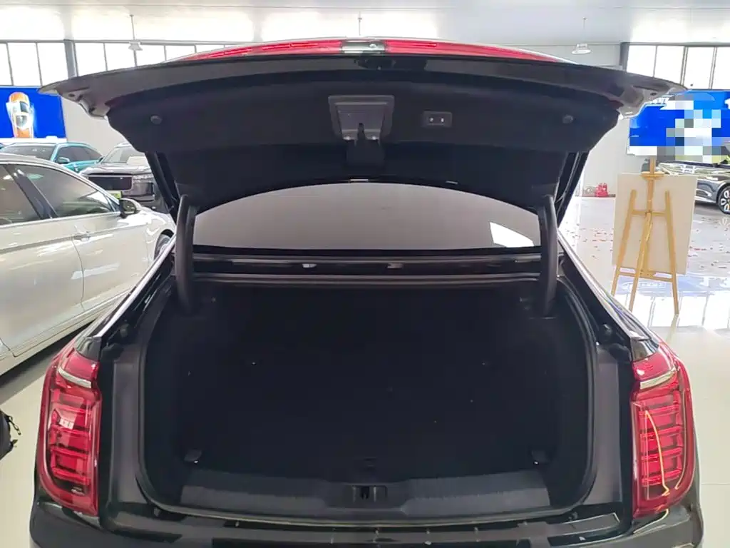 صورة 19 - Hongqi H9