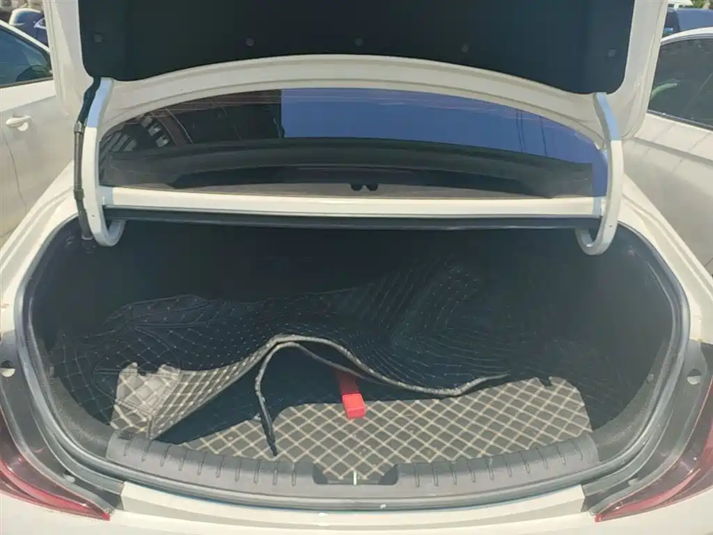 Photo 19 - Hyundai Mistra