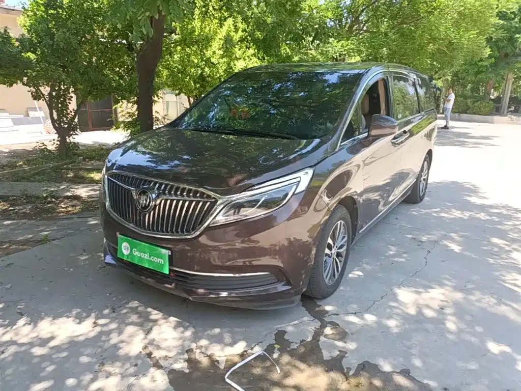Buick GL8 2017 ES 28T Flagship China V фото 2