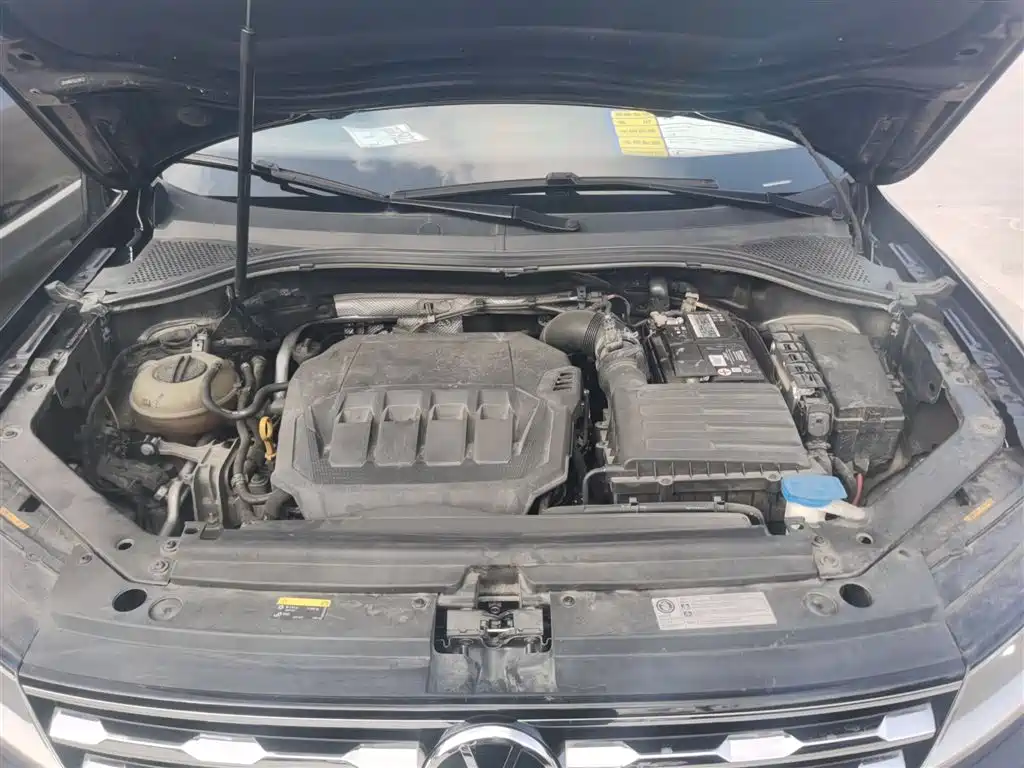 Volkswagen Tiguan L 2021 330TSI Automatic 2WD Smart фото 10