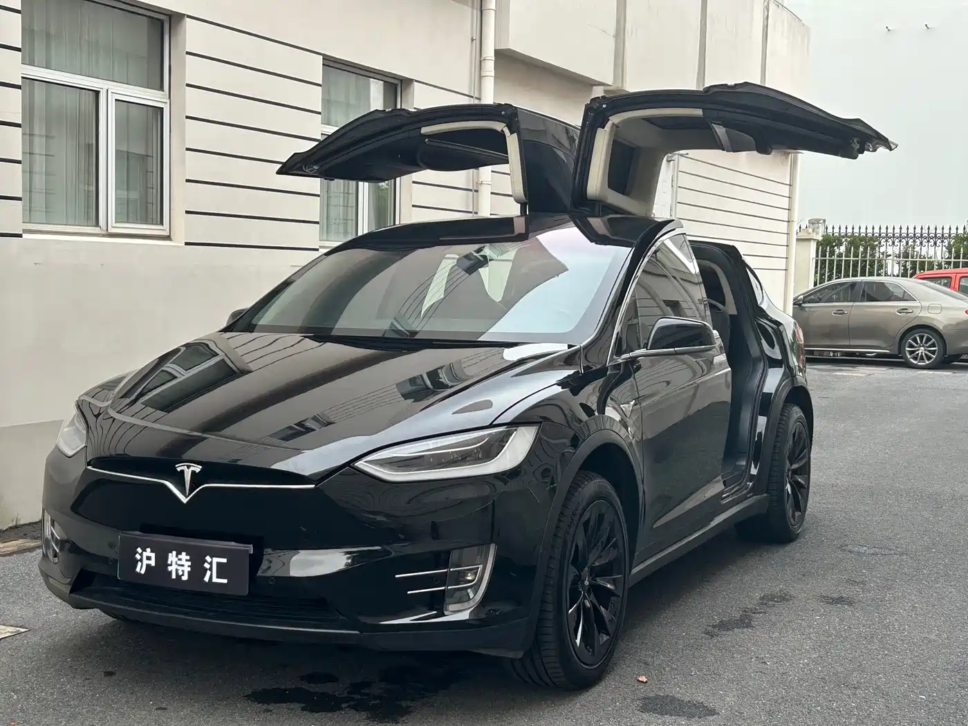  Tesla Model X 2017 Model X 100D Long Range 8