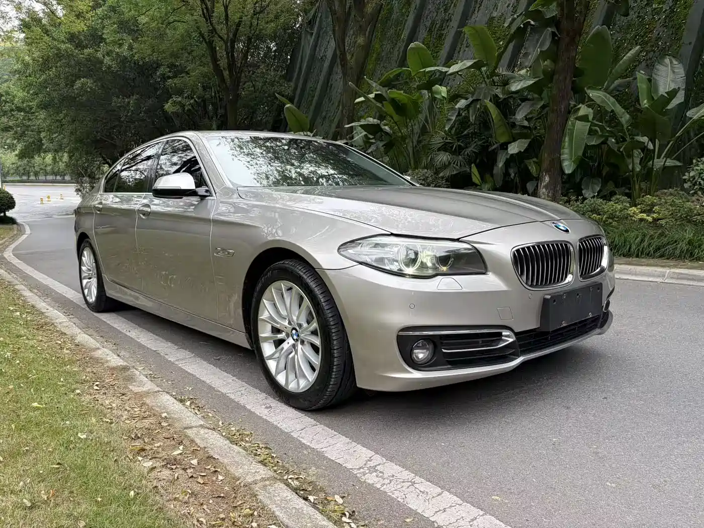 BMW 5 Series 2014 525Li Luxury Design Package фото 3