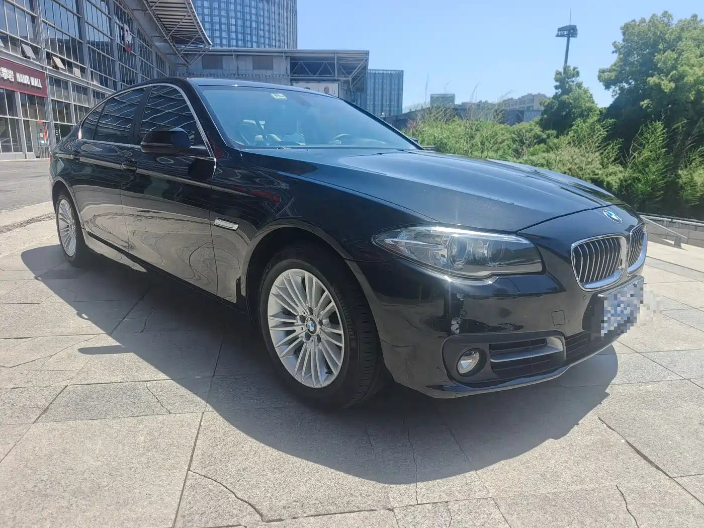 BMW 5 Series 2014 525Li Leading фото 5