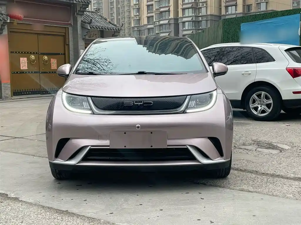BYD Dolphin 2021 Model 405km Fashion Edition фото 11