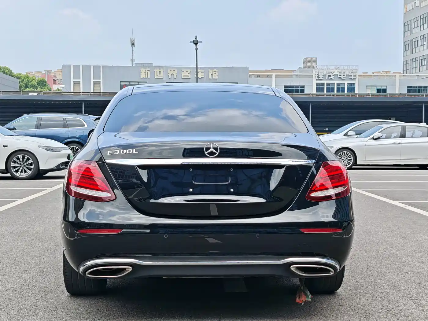 Mercedes-Benz E-Class 2020 E 260 L фото 5