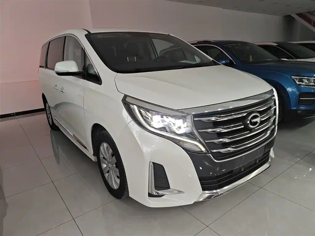 GAC Trumpchi Trumpchi M8 2020 Pilot 390T Premium Edition фото 4