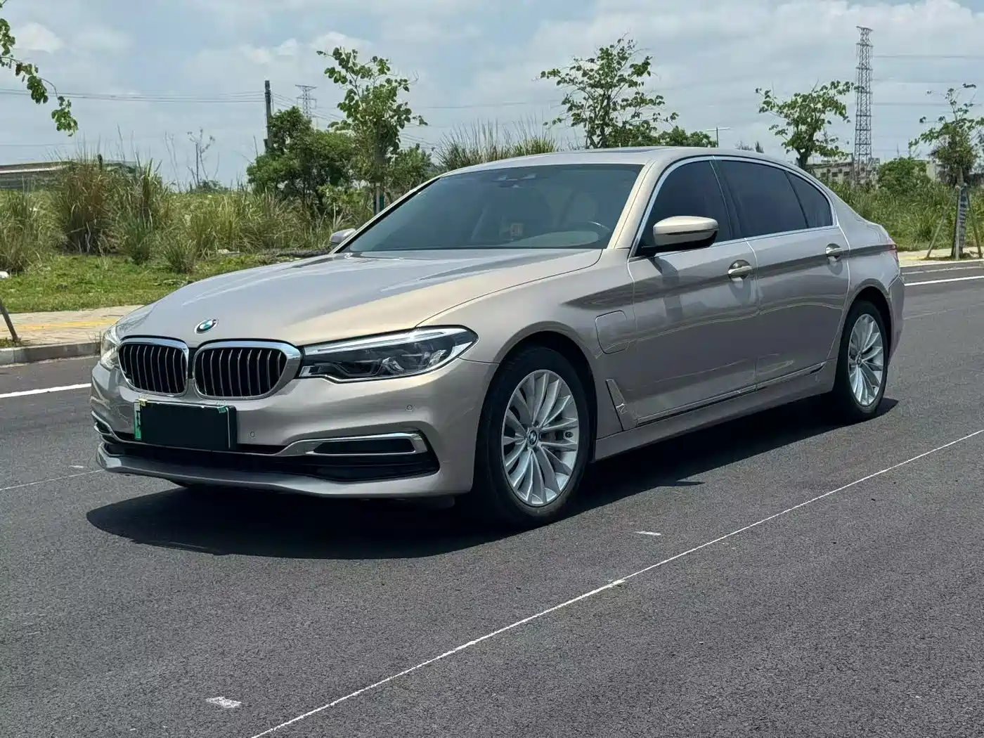 BMW 5 Series New Energy 2020 530Le Luxury Package