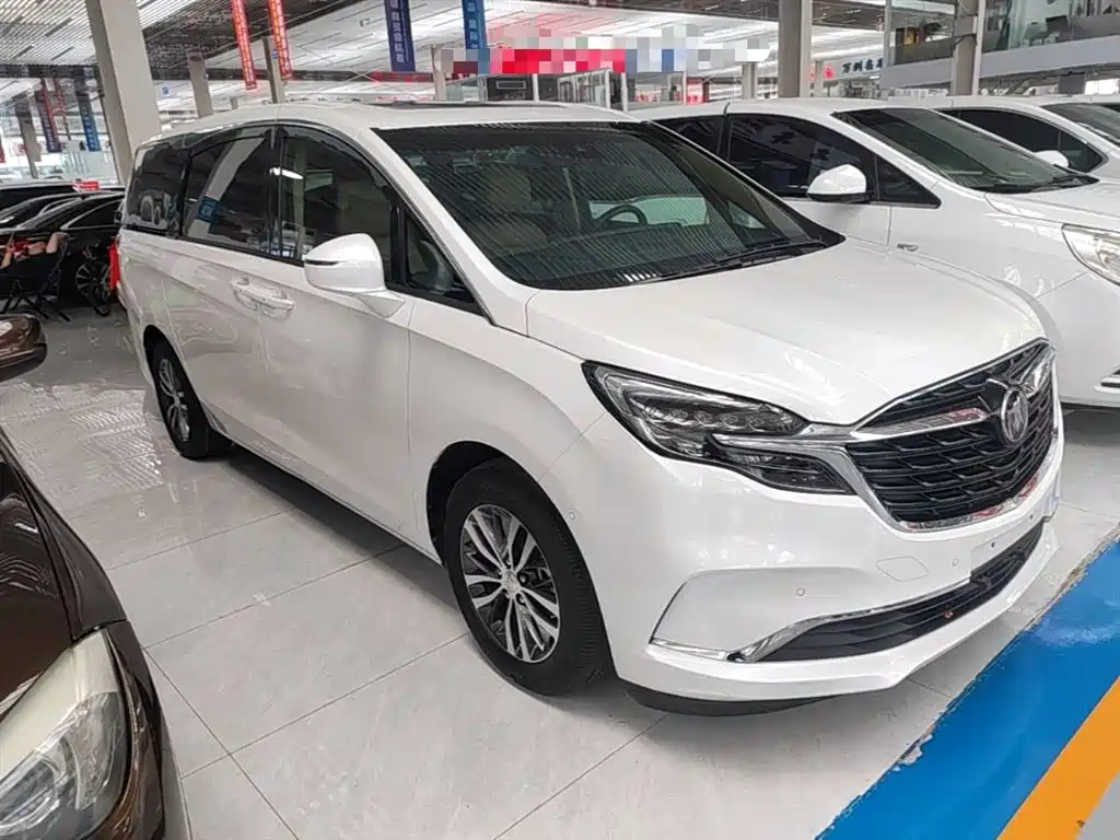 Buick GL8 2021 ES Landlord 653T Premium фото 4