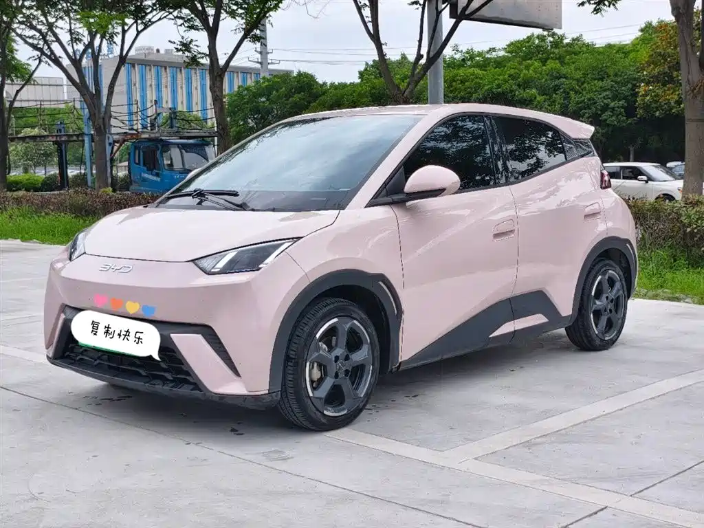 BYD Seagull 2024 Glory Edition 305km Freedom Edition