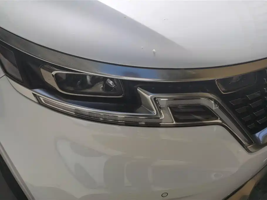 Kia Carnival 2021 2.0T Flagship Edition фото 5