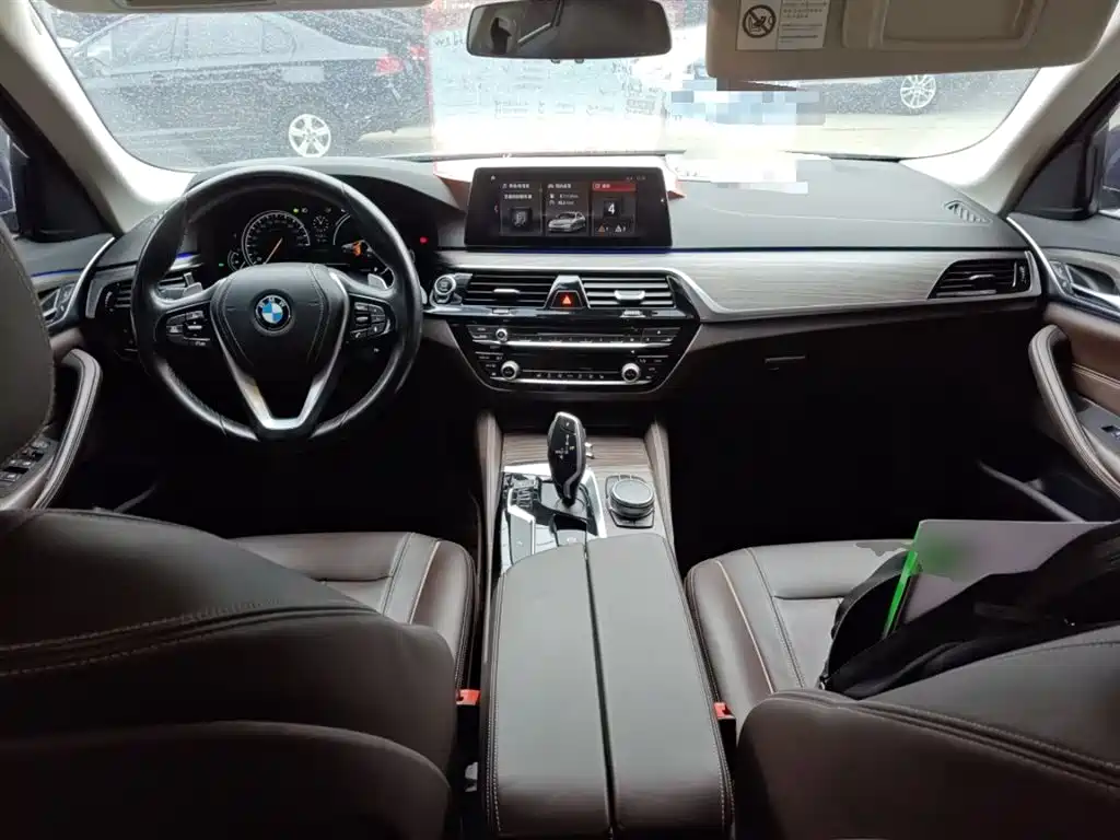 BMW 5 Series 2018 530Li xDrive Luxury Package фото 10