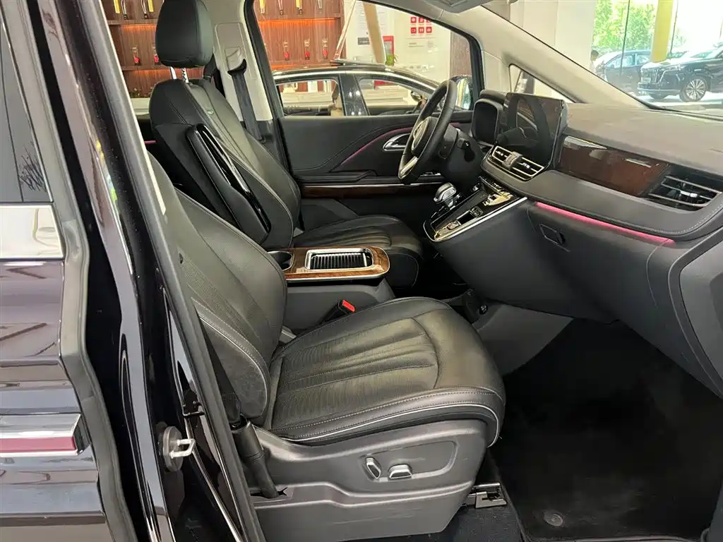 Hongqi HQ9 PHEV 2024 Model 2.0T AWD Luxury Edition фото 9