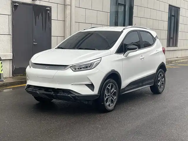  BYD Yuan Pro 2021 Lifetime Love Edition