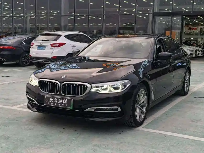 BMW 5 Series New Energy 2019 530Le Luxury Package