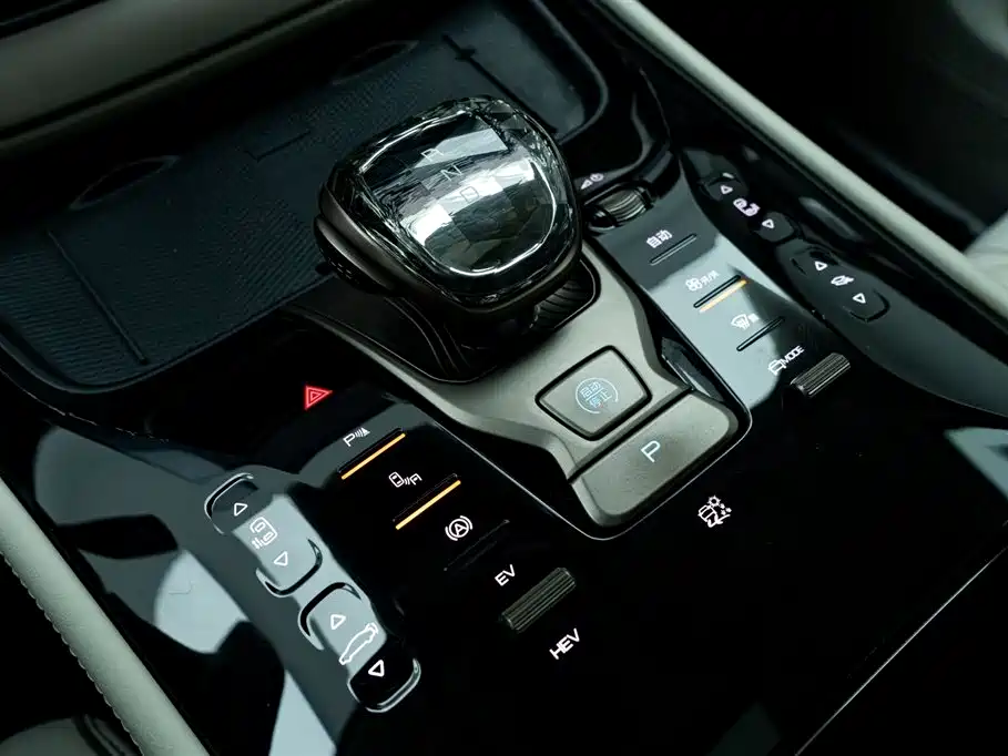 Denza D9 2022 DM-i 970 All-Wheel Drive Honor Edition фото 27