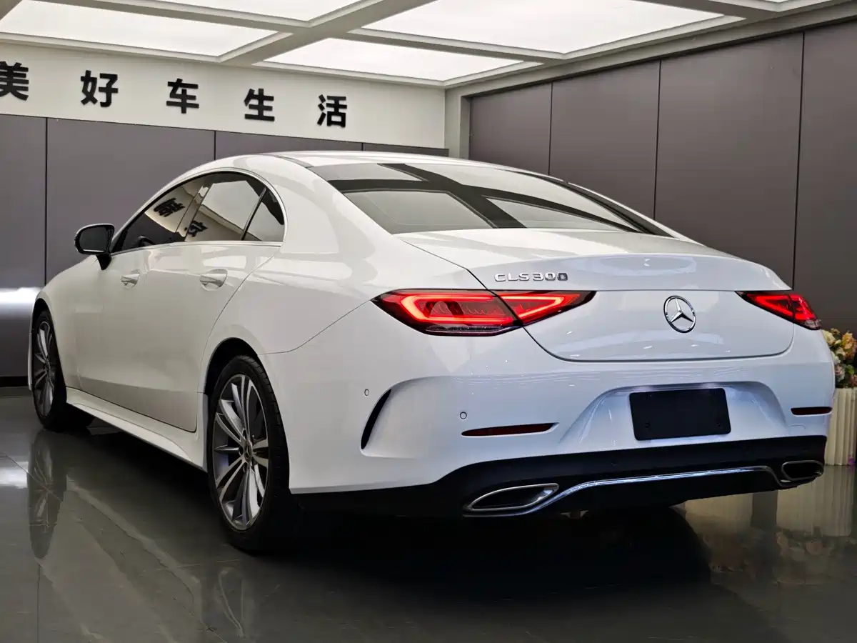 Mercedes-Benz CLS 2022 CLS 300 Dynamic фото 9