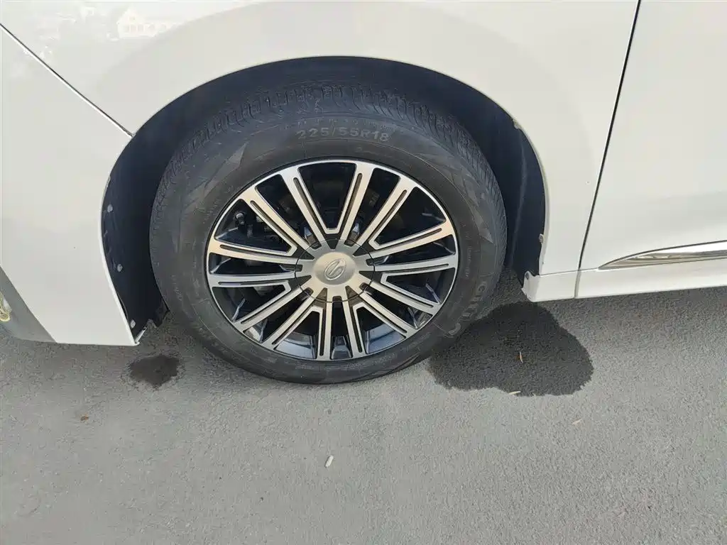 GAC Trumpchi Trumpchi M8 2021 Leading Show Series 390T Ultimate Edition фото 23