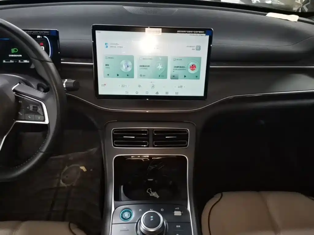BYD Destroyer 05 2024 Glory Edition DM-i 55KM Luxury фото 13