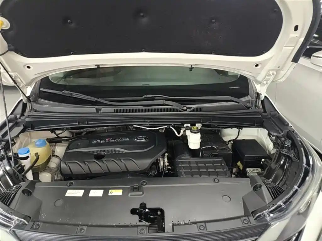 GAC Trumpchi Trumpchi M6 2019 270T DCT Premium Edition (6-seater) (China VI) фото 20