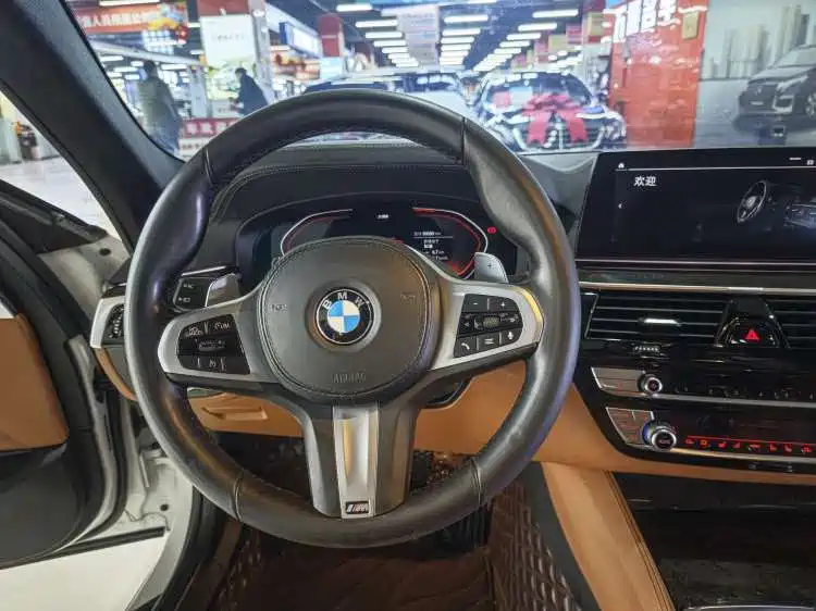 BMW 5 Series 2020 530Li Exclusive M Sport Package фото 15