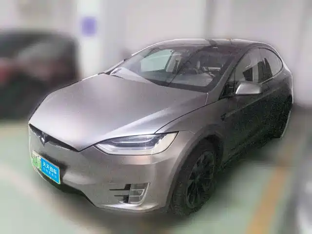 Tesla Model X 2017 Model X 100D Long Range — фото 1