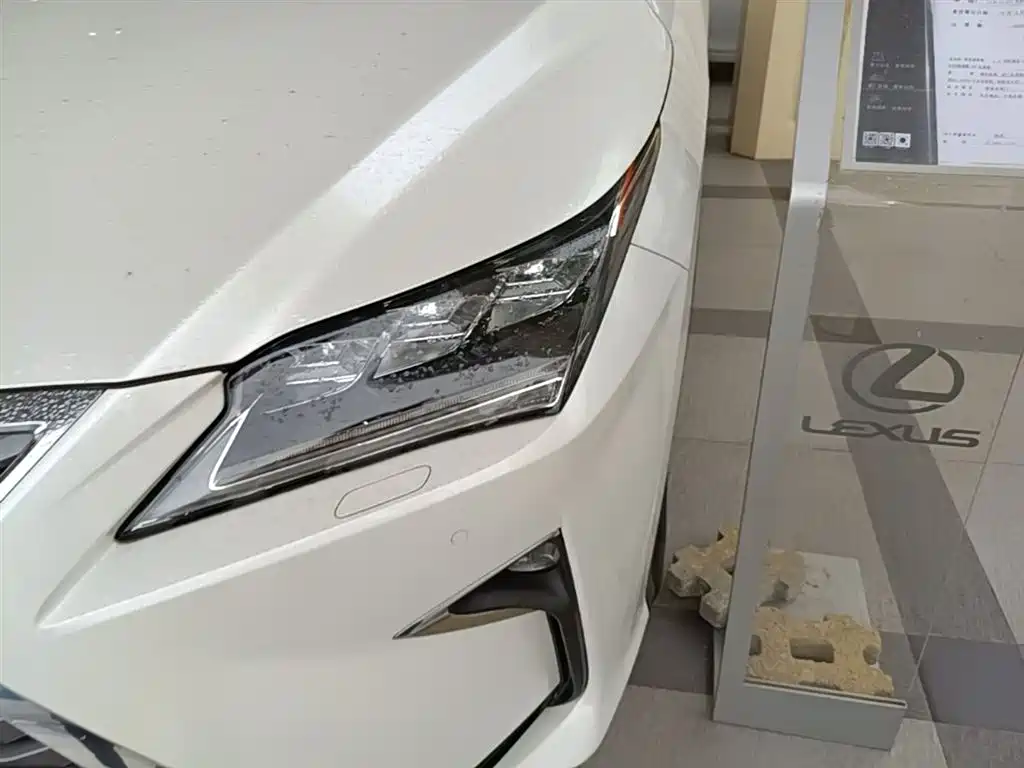 Lexus RX 2016 300 4WD Elegance Edition (China V) фото 24
