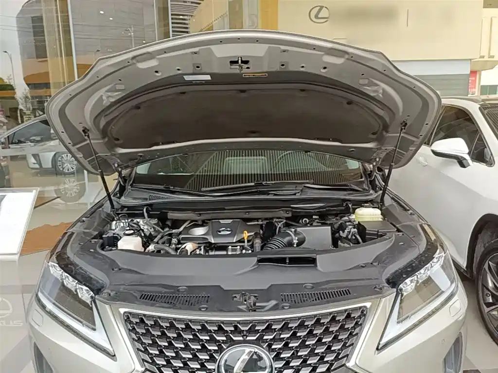 Lexus RX 2020 300 4WD Elegance Edition China VI фото 20
