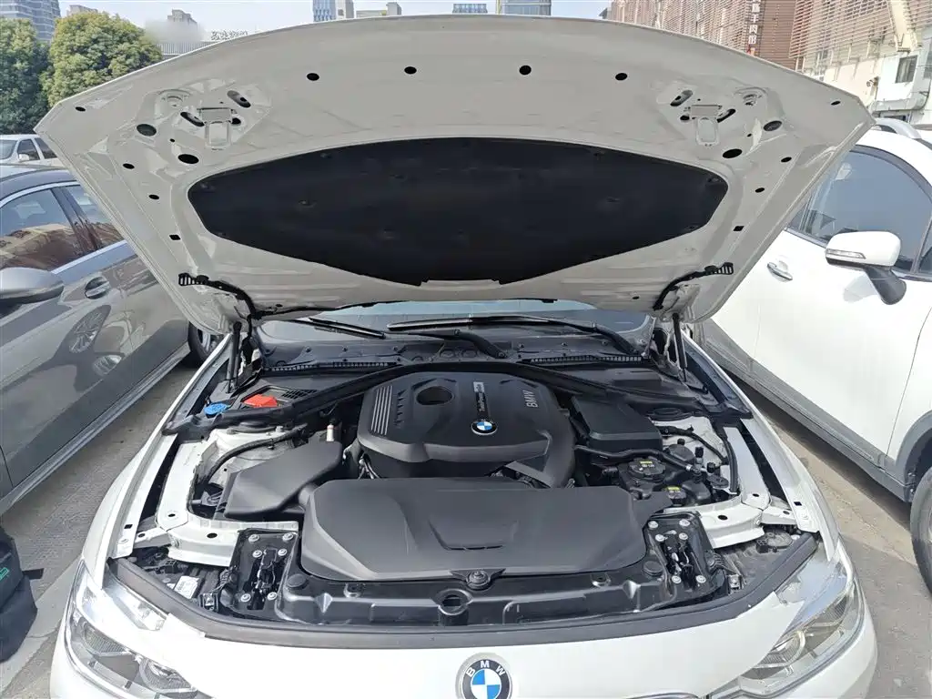 BMW 3 Series 2019 320Li Fashion Type фото 16