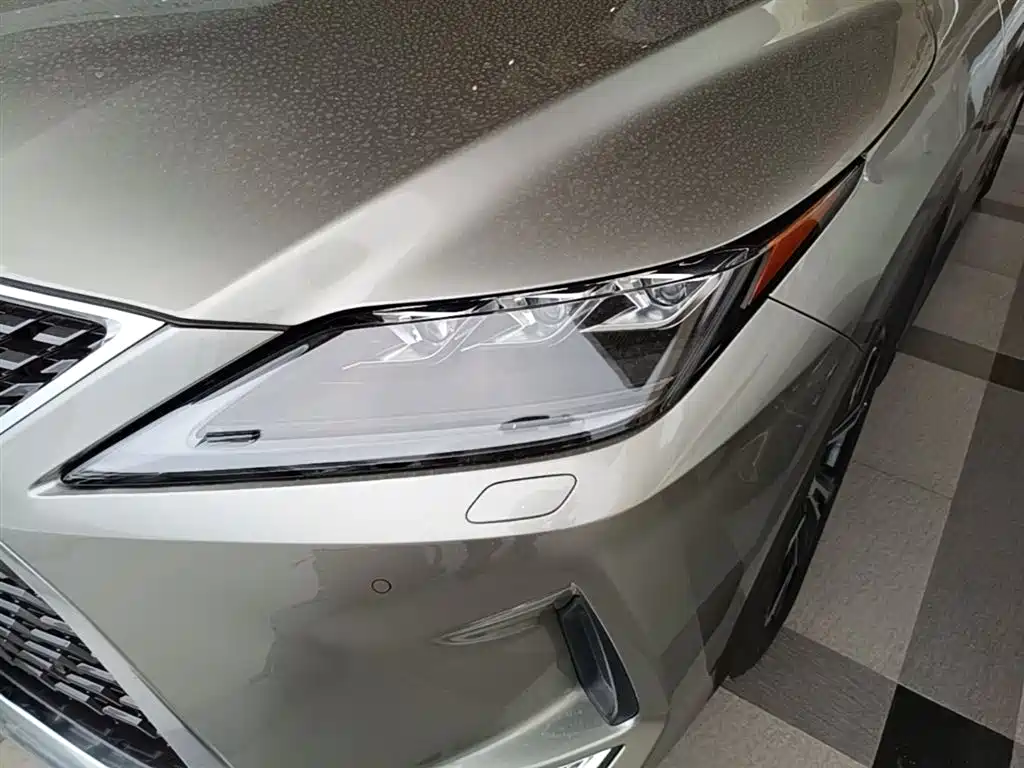 Lexus RX 2020 300 4WD Elegance Edition China VI фото 24