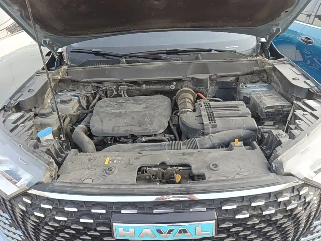 Haval H6 New Energy 2023 2023 DHT-PHEV 55KM Joy Ride Edition