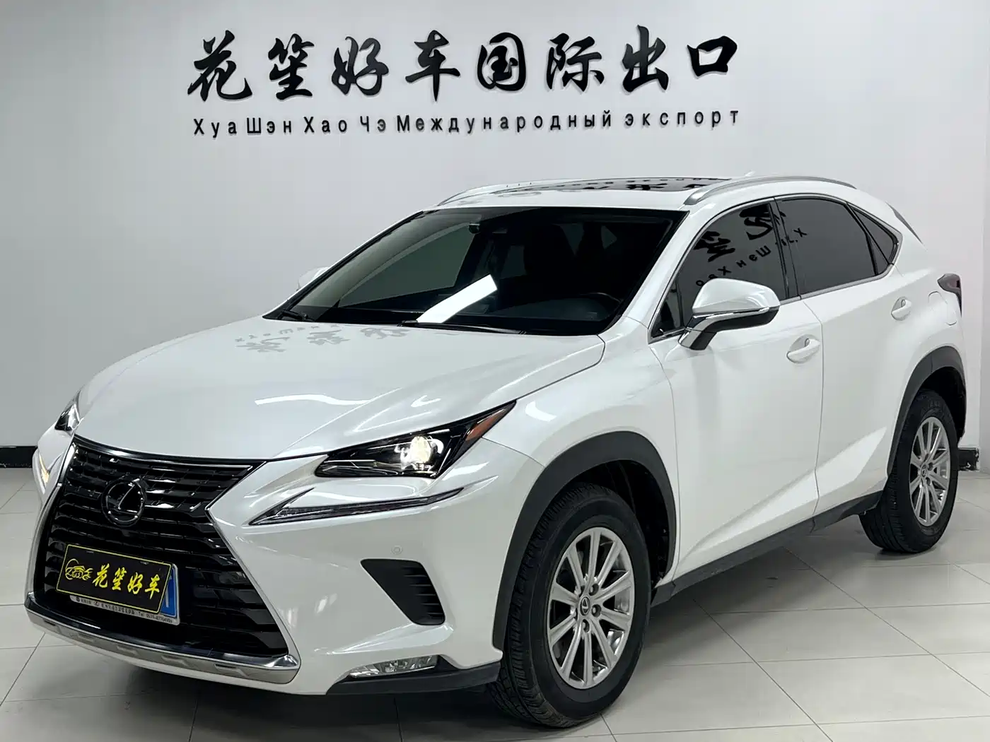 Lexus NX 2020 200 AWD F Sport China VI